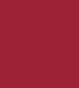 Maroon Red (10205) [Refill, 1kg] swatch