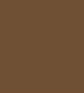 Cocoa Brown (10802) [Filament with spool, 1kg] swatch