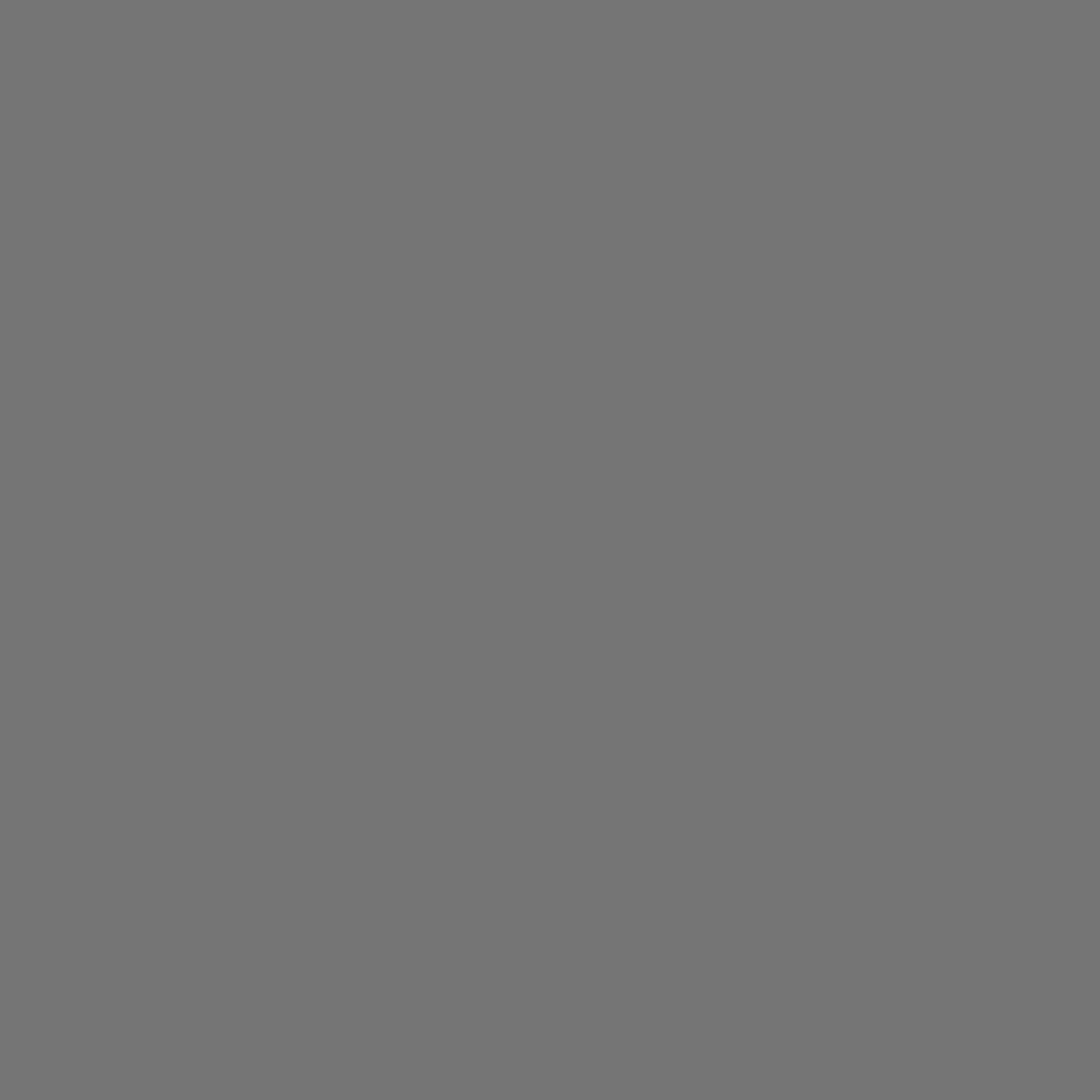 Matte Nardo Gray (11104) [Refill, 1kg] swatch
