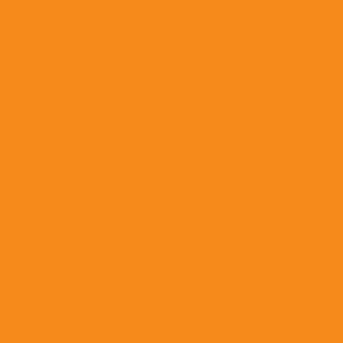 Neon Orange (51305) [1kg, TPU 85A] swatch