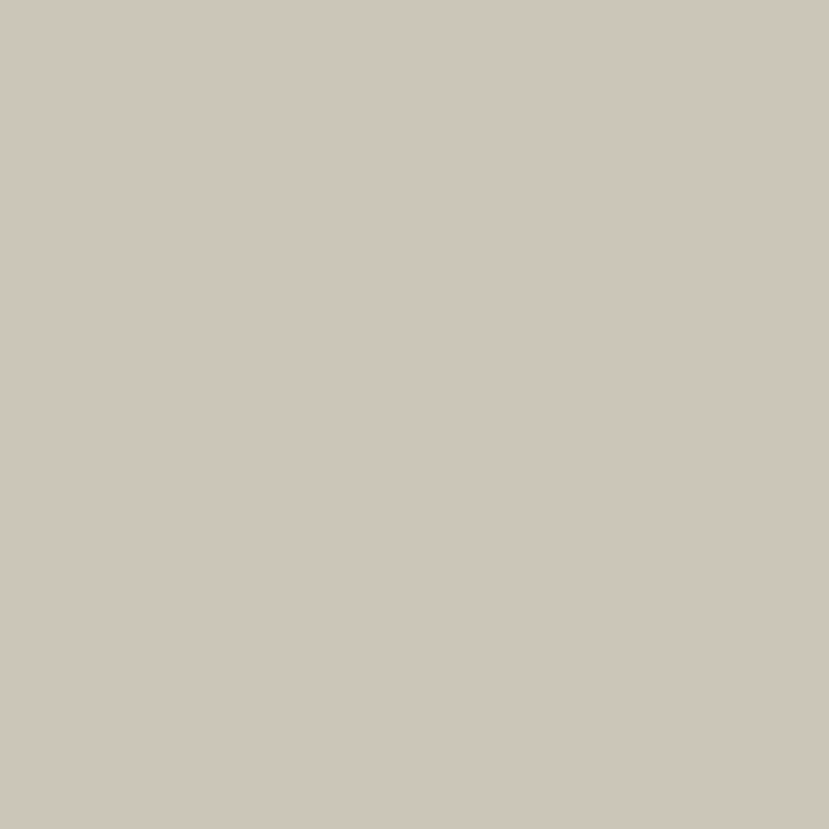 Matte Bone White (11103) [Refill, 1kg] swatch