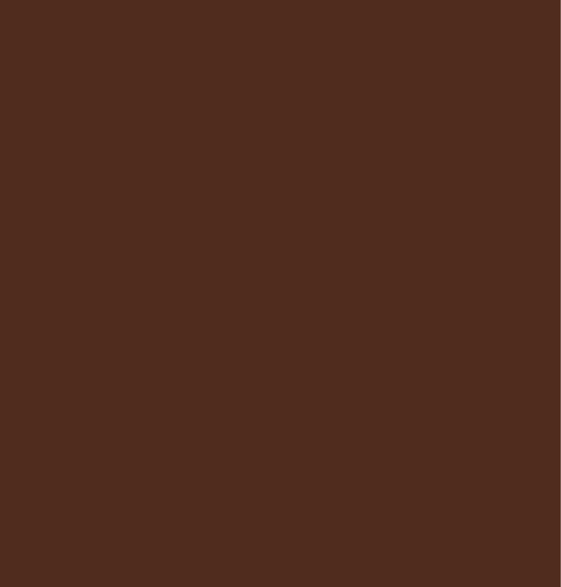 Dark Brown(30800) [Filament with spool, 1kg] swatch