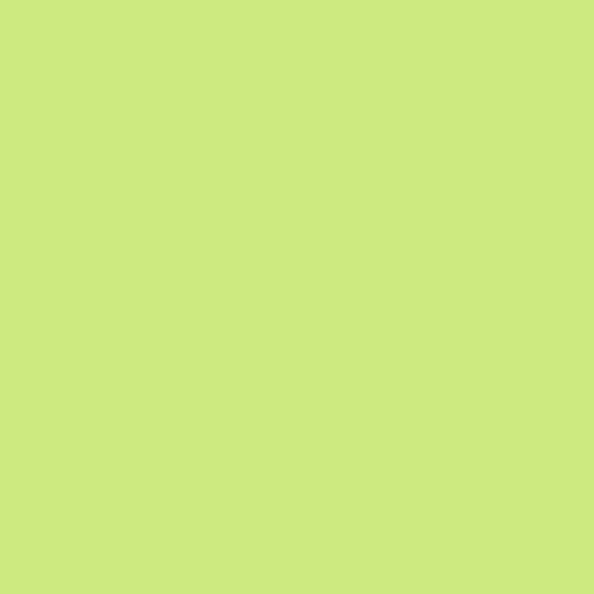 Lime Green (51501) [1kg, TPU 85A] swatch