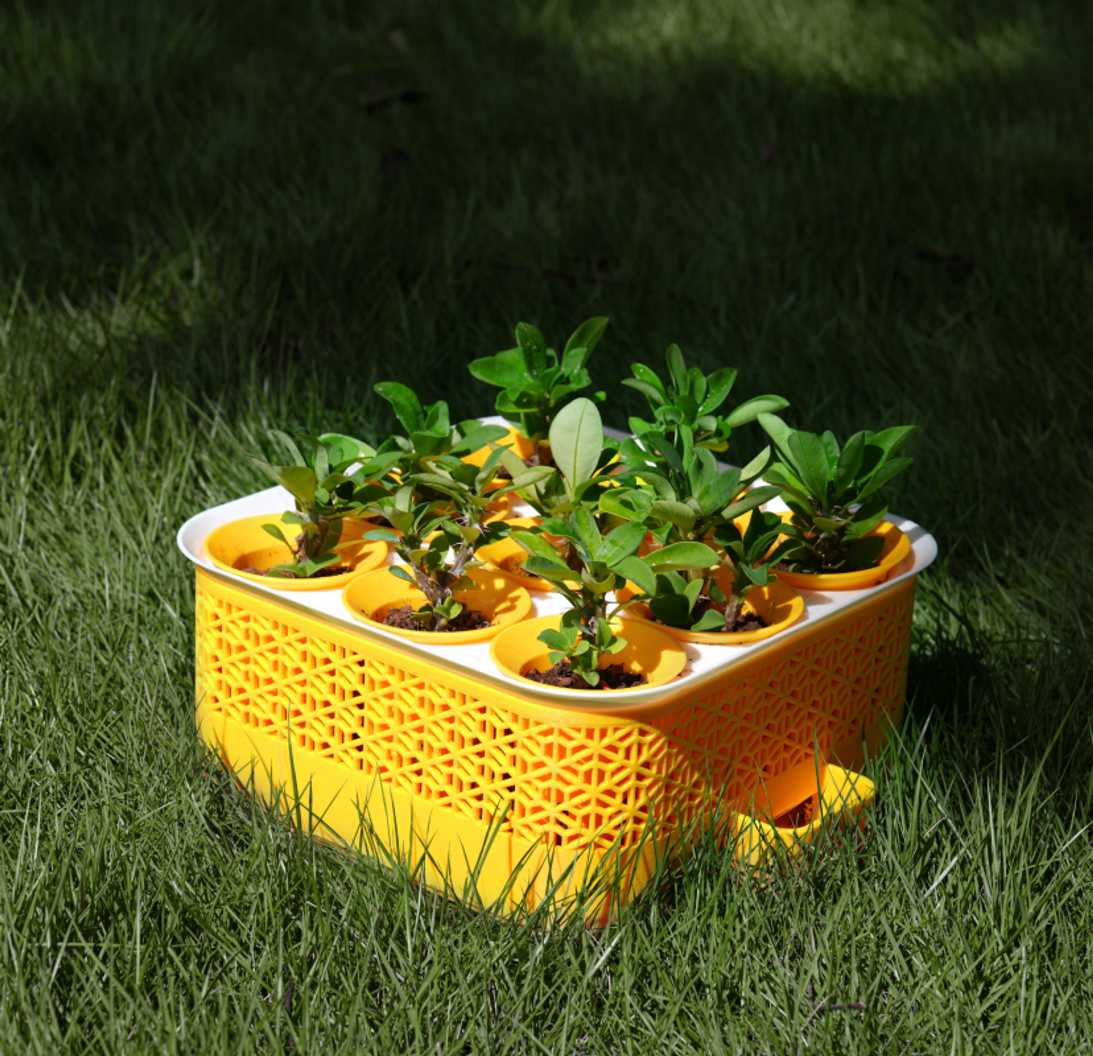 Seed Starter: PA6-GF