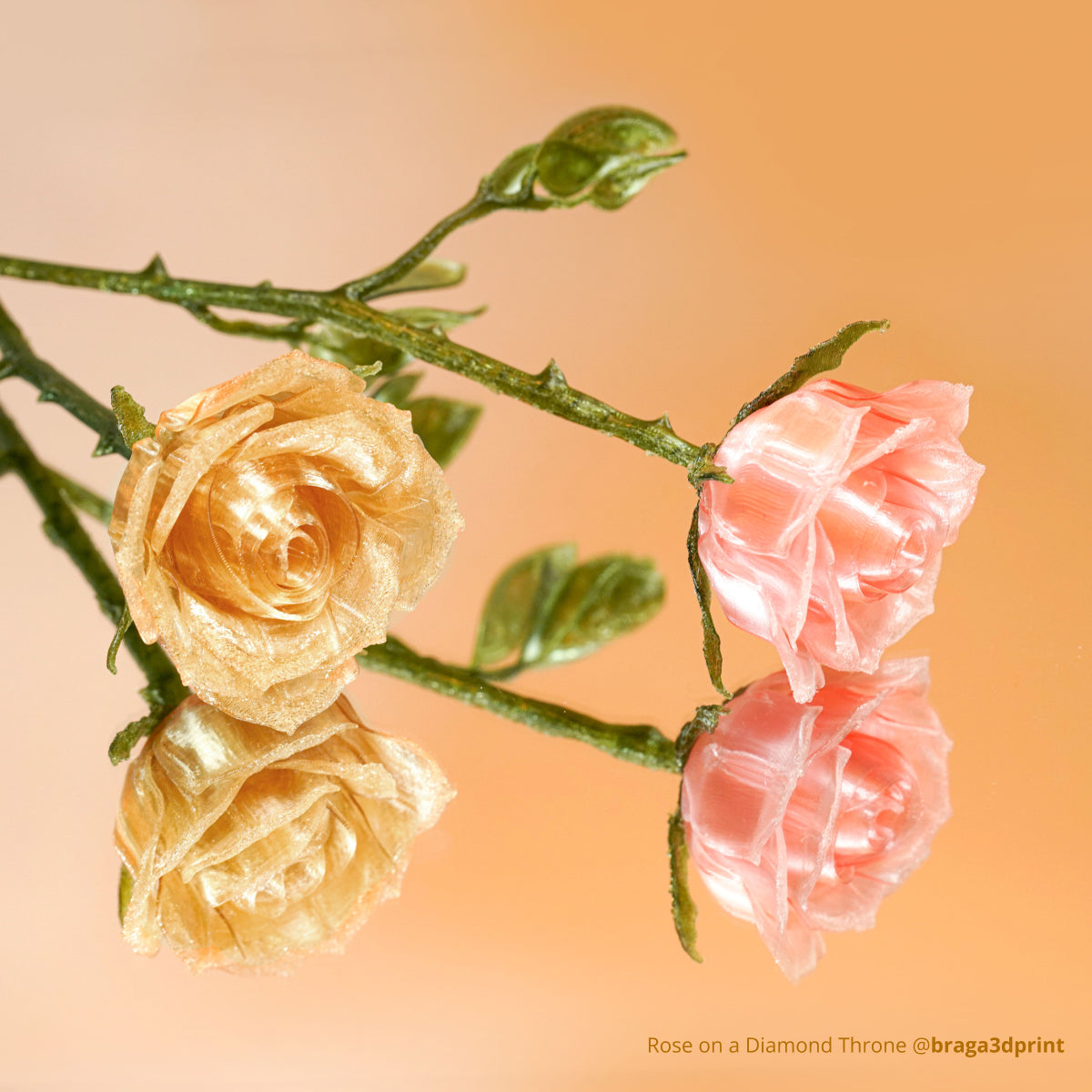 General product image