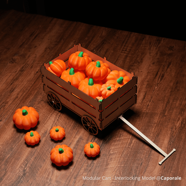 Halloween Project Kit – Limited-Time Sale