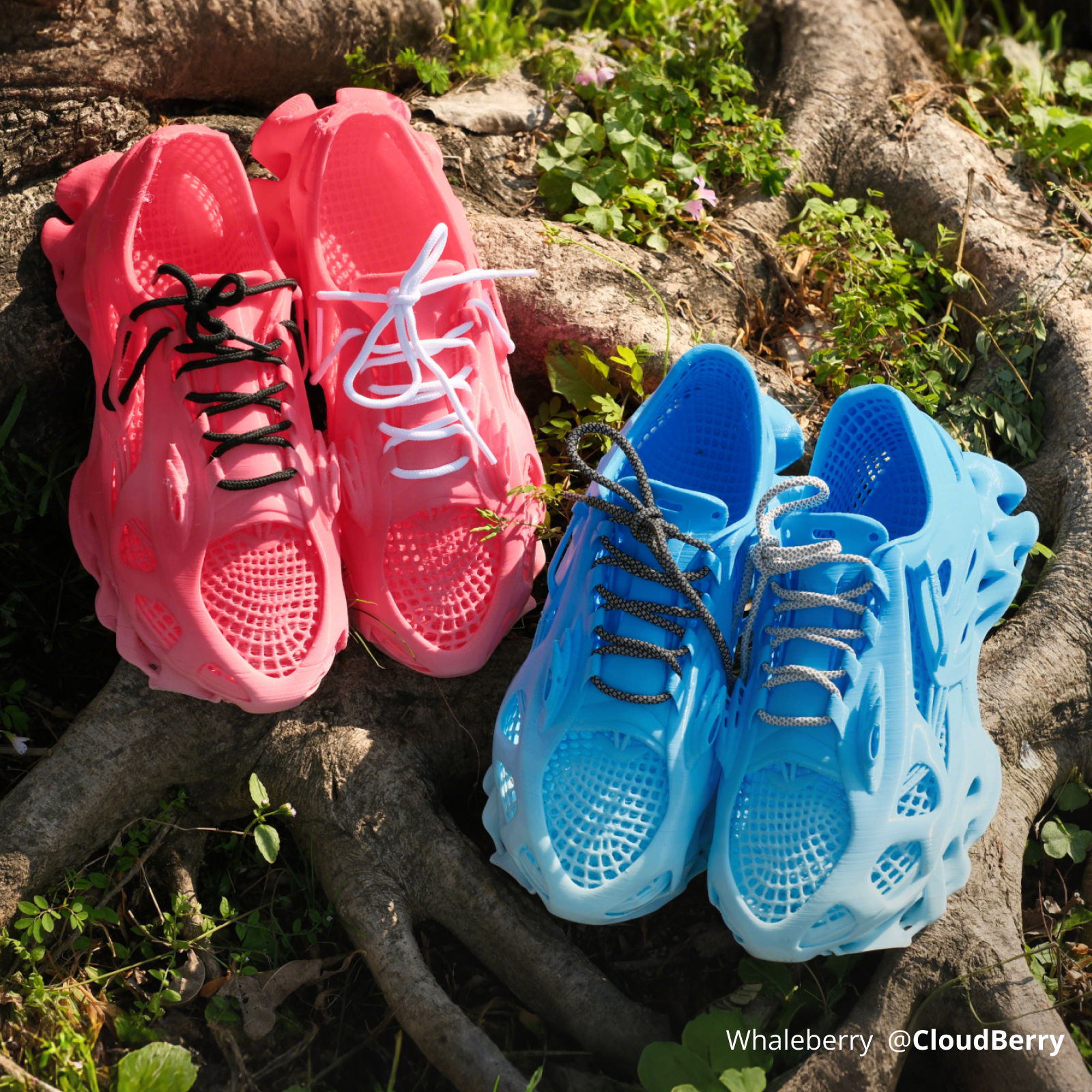 Round Shoelace Bambu Lab Eu Store